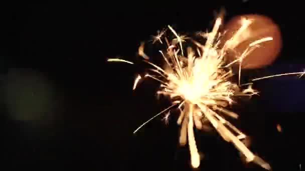 Christmas sparkler burning on a black — Stock Video