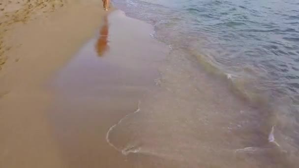 Blick von oben auf eine Frau, die barfuß am nassen Sandstrand entlang geht. Laufende Welle spült Fußspuren im Sand weg — Stockvideo