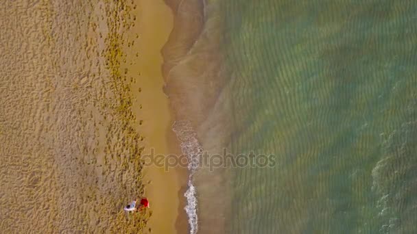 Vue aérienne d'un couple amoureux marchant sur la plage main dans la main 