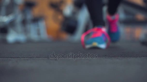 Sapatos de corrida - mulher amarrando cadarços de sapato no ginásio — Vídeo de Stock
