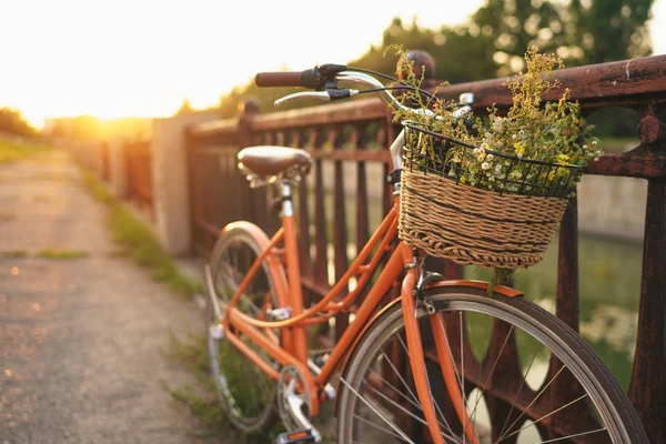 Piękny rower z kwiatami w kosz stoi na ulicy — Zdjęcie stockowe