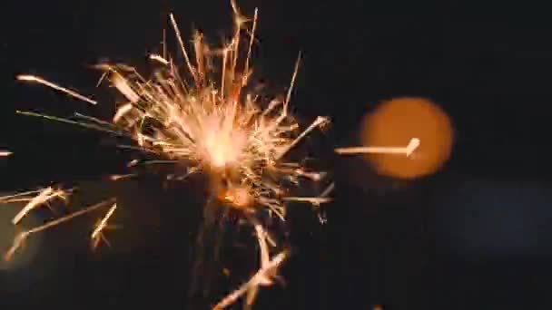 Christmas sparkler burning on a black — Stock Video