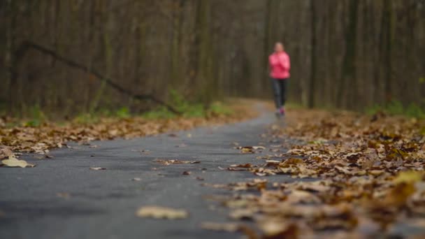 Detailní záběr ženy se sluchátky a smartphone běh podzimním lesem při západu slunce — Stock video