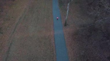 Sonbahar bir ormandan günbatımında çalışan kadının havadan görünümü