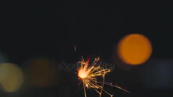 Wunderkerze brennt auf schwarzem Grund — Stockvideo