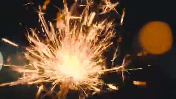 Christmas sparkler burning on a black — Stock Video