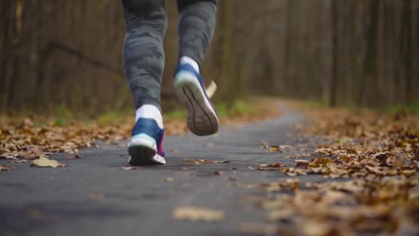 Primer plano de la mujer con auriculares y smartphone corriendo a través de un bosque otoñal al atardecer — Vídeo de stock