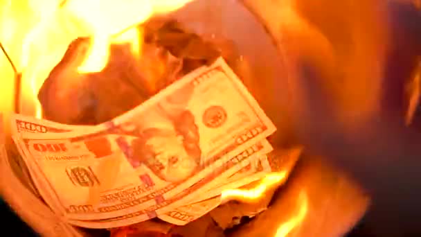Brandende dollars in de Prullenbak kunnen close-up. Slow motion — Stockvideo