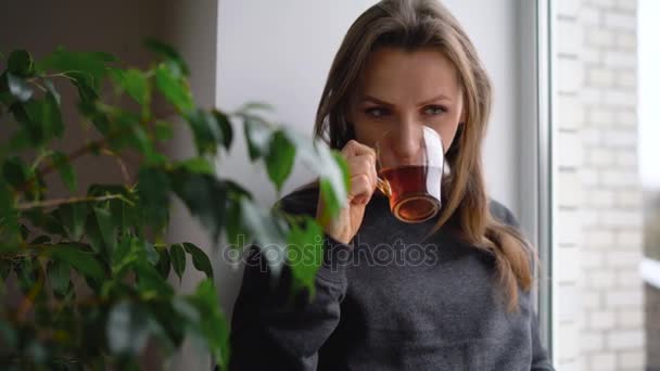 Όμορφη νεαρή γυναίκα κάθεται στο περβάζι του παραθύρου με τσάι και διαβάζοντας το βιβλίο — Αρχείο Βίντεο