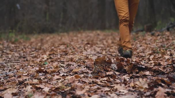 Benen av en man som promenader genom skogen höst och sparkar de fallna löven på nära håll. Slow motion — Stockvideo