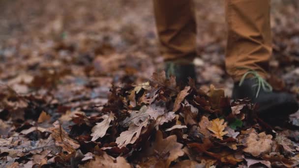 Piernas de un hombre que camina por el bosque de otoño y patea las hojas caídas de cerca. Movimiento lento — Vídeos de Stock