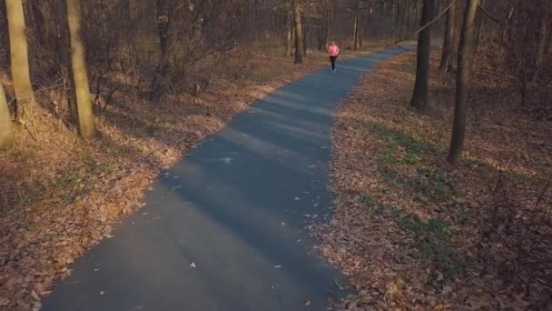 A légi felvétel a nő fut át az őszi erdő, naplementekor — Stock videók