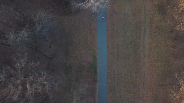 Vista aérea de la mujer corriendo a través de un bosque otoñal al atardecer — Vídeos de Stock