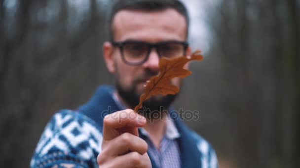 Mann mit Brille läuft durch den herbstlichen Wald und betrachtet das Eichenblatt aus nächster Nähe. Zeitlupe — Stockvideo