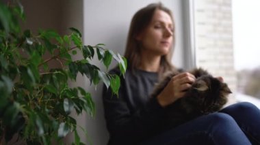 Mutlu kadın pencere pervazına bir kedi ile onun kucağına oturur ve onu kabarık kürk vuruş
