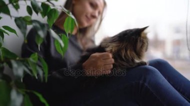 Mutlu kadın pencere pervazına bir kedi ile onun kucağına oturur ve onu kabarık kürk vuruş