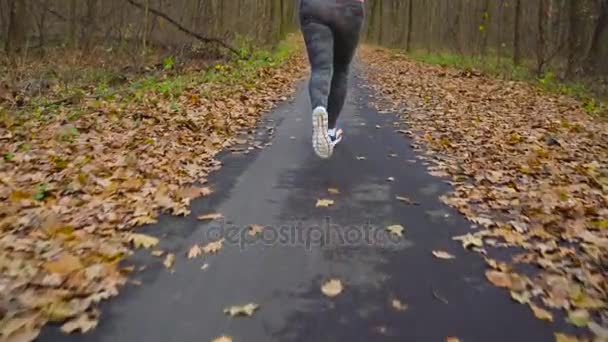 Крупный план женщины, бегущей по осеннему лесу на закате. Вид сзади. Медленное движение — стоковое видео