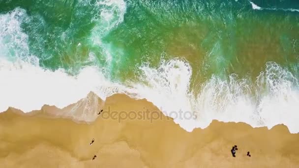 Вид зверху на силуети людей Ходіння босоніж, вздовж пляжу вологий пісок океану. Португальська узбережжя Атлантичного океану — стокове відео