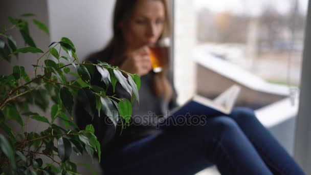 Gyönyörű fiatal nő ül az ablakpárkányon, a tea, és könyvet olvas — Stock videók