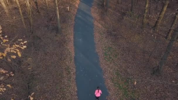 Veduta aerea della donna che corre attraverso una foresta autunnale al tramonto — Video Stock
