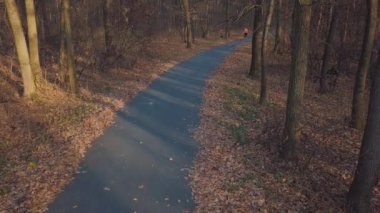 Sonbahar bir ormandan günbatımında çalışan kadının havadan görünümü