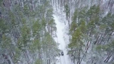 Havadan görünümü kış orman yolu sürüş araba. Doğal kış manzarası
