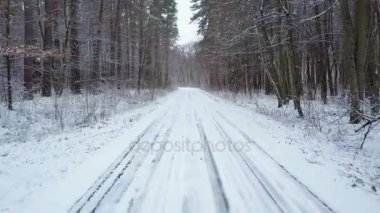 Havadan görünümü kış kar ormanının de yol. Doğal kış manzarası