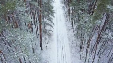 Havadan görünümü kış kar ormanının de yol. Doğal kış manzarası