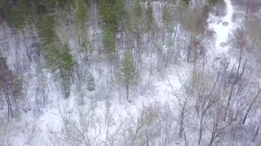 Yükseklikten görünümüne kış orman kar ile kaplı