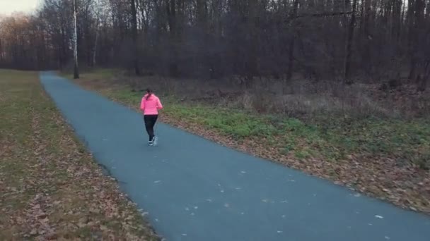 Luftaufnahme der Frau, die bei Sonnenuntergang durch einen herbstlichen Wald läuft — Stockvideo