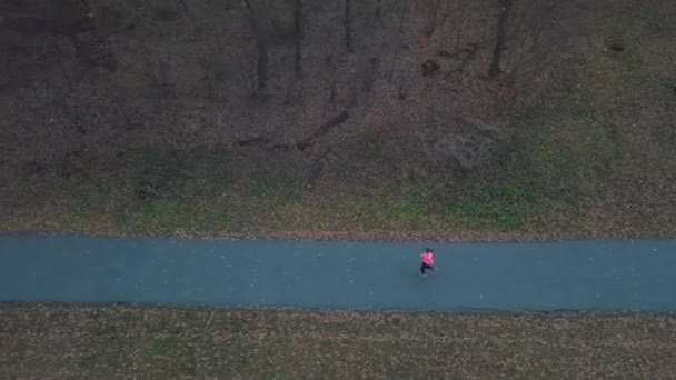 夕暮れ時、秋の森を走っている女性の空撮 — ストック動画