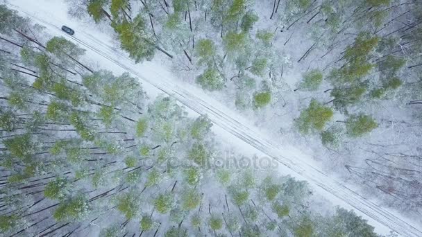 Aerial view on car driving through winter forest road. Scenic winter landscape — Stock Video