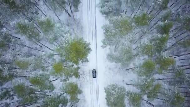 Flygfoto på bil som kör genom skogen vinterväg. Vackra vinterlandskap — Stockvideo