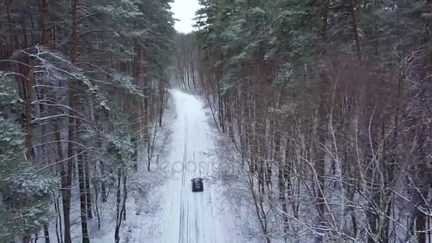 Vista aérea del coche que conduce a través de la carretera forestal de invierno. Paisaje escénico de invierno — Vídeo de stock