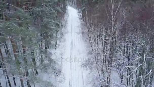 Letecký pohled na silnici v zimě sníh fores. Malebnou zimní krajinou — Stock video