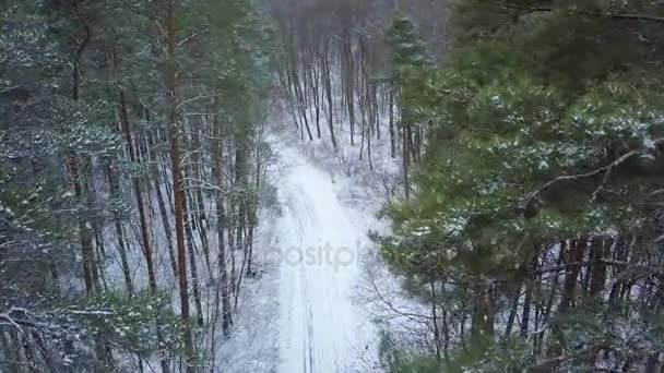 Vista aerea su strada nelle nevi invernali. Paesaggio invernale paesaggistico — Video Stock