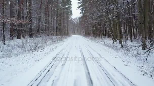 Vista aérea de la carretera en los frentes de nieve de invierno. Paisaje escénico de invierno — Vídeo de stock