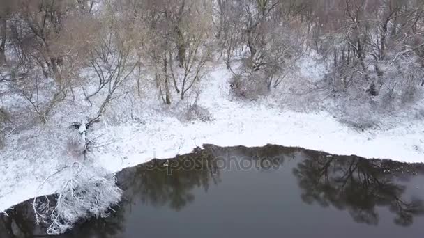 겨울 숲에 높이에서 보기 눈와 서 강둑에 덮여 — 비디오