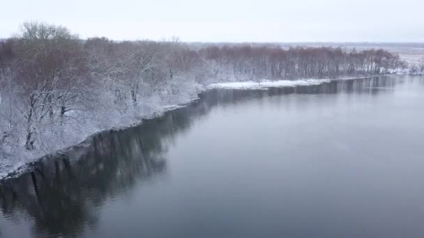 从高度到冬天森林被雪覆盖的看法和站立在河岸 — 图库视频影像