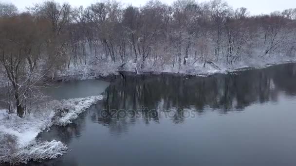 Vol le long de la rive et forêt recouverte de neige sur la rive 