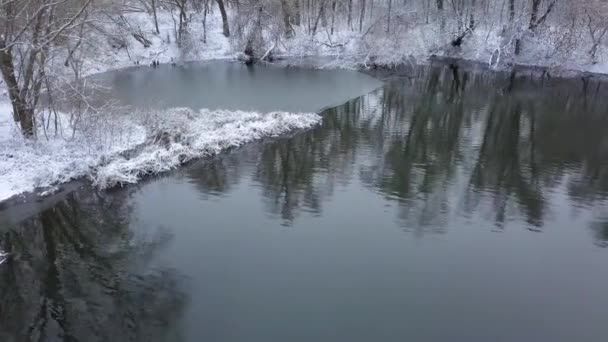 Vlucht langs de rivieroever en bos bedekt met sneeuw op de oever — Stockvideo
