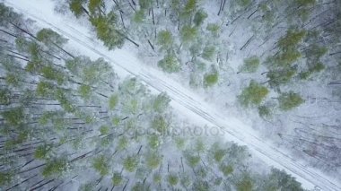 Havadan görünümü kış kar ormanının de yol. Doğal kış manzarası