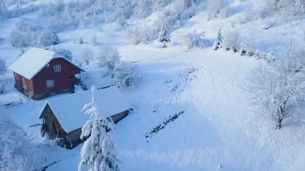 Flight over snowy mountain coniferous forest. Clear sunny frosty weather — Stock Video