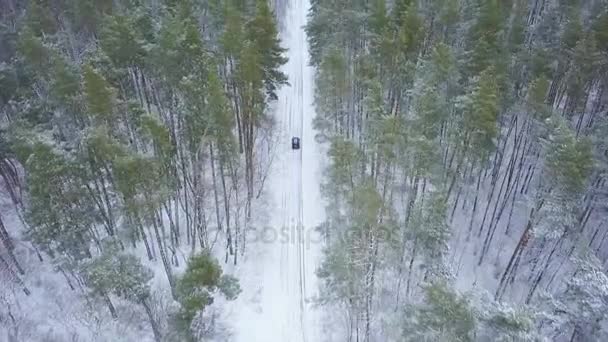 Luftaufnahme eines Autos, das durch die winterliche Waldstraße fährt. malerische Winterlandschaft — Stockvideo