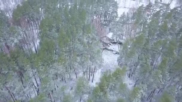 Utsikt från höjden till vintern skog täckt med snö med en förlorade hus mitt i det — Stockvideo