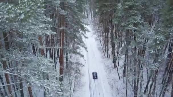 Widok z lotu ptaka na samochód jazdy przez Zima Las droga. Krajobraz Scenic zima — Wideo stockowe