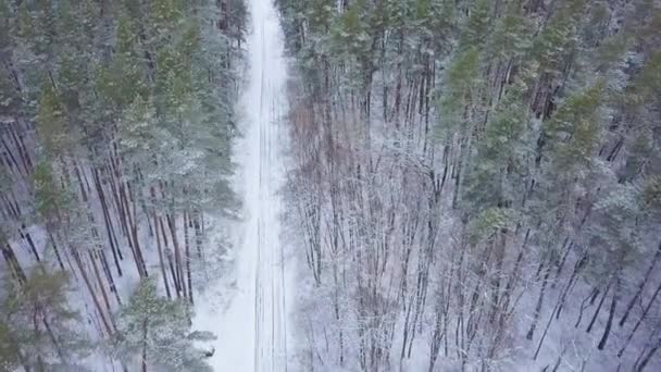 Luchtfoto op weg in de winter sneeuw fores. Schilderachtige winterlandschap — Stockvideo