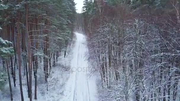 Luchtfoto op weg in de winter sneeuw fores. Schilderachtige winterlandschap — Stockvideo