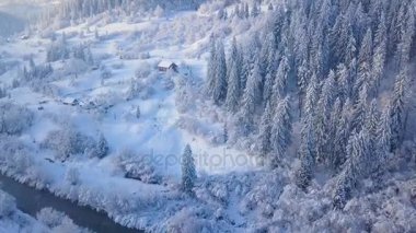 Karlı dağ iğne yapraklı orman üzerinde uçuş. Açık güneşli soğuk hava
