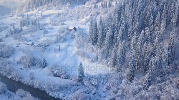 Vuelo sobre bosques nevados de coníferas de montaña. Clima frío claro y soleado — Vídeos de Stock